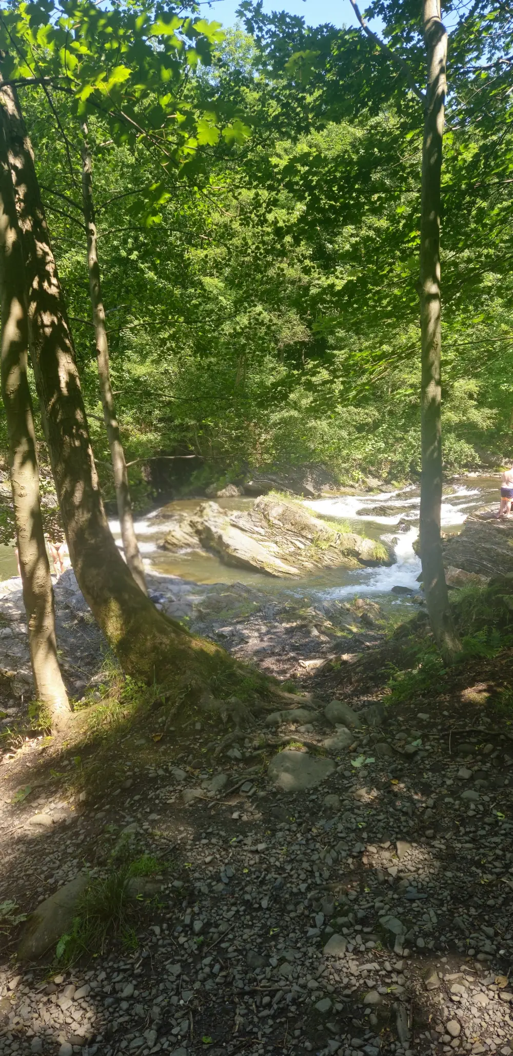 Lesní cesta k řece